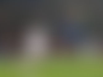 La pelota es mía, LA VENGANZA DE LAS PULGAS