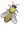 big_bee.gif