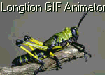 banner_insetos.gif