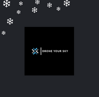 web-Drone-logo.png