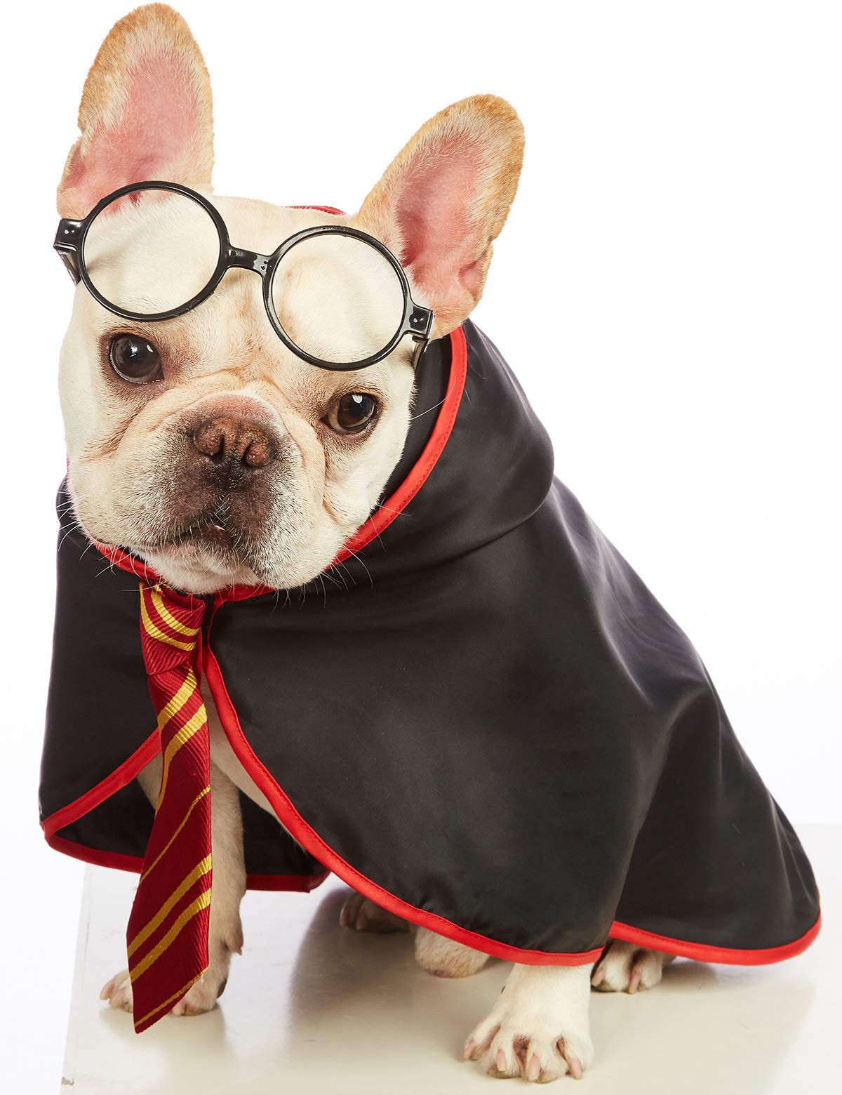 MagicPaws Wizard Costume