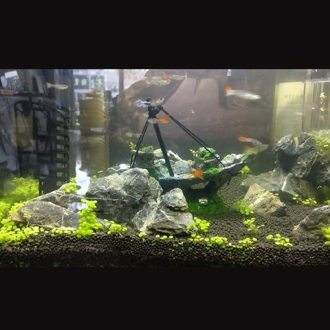 Thumbnail: Sunken Reef Shipwreck Decor