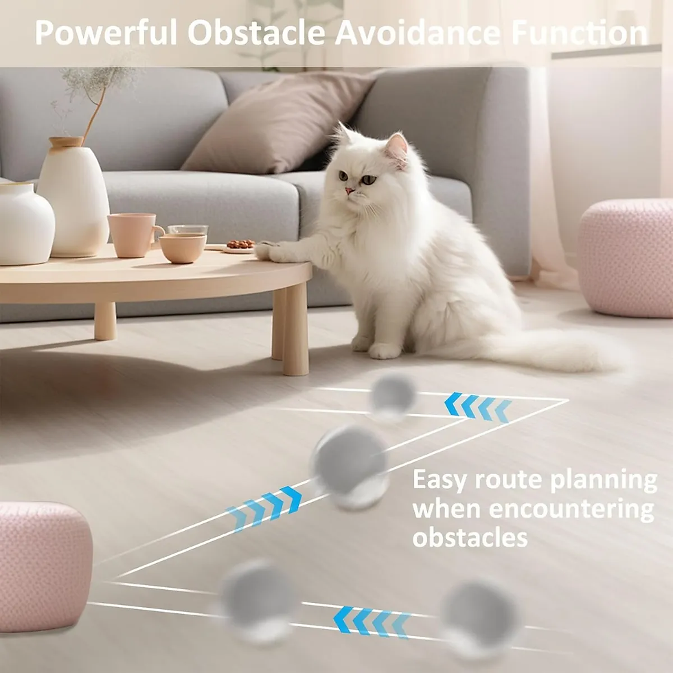 Thumbnail: OrbitRoll Smart Toy