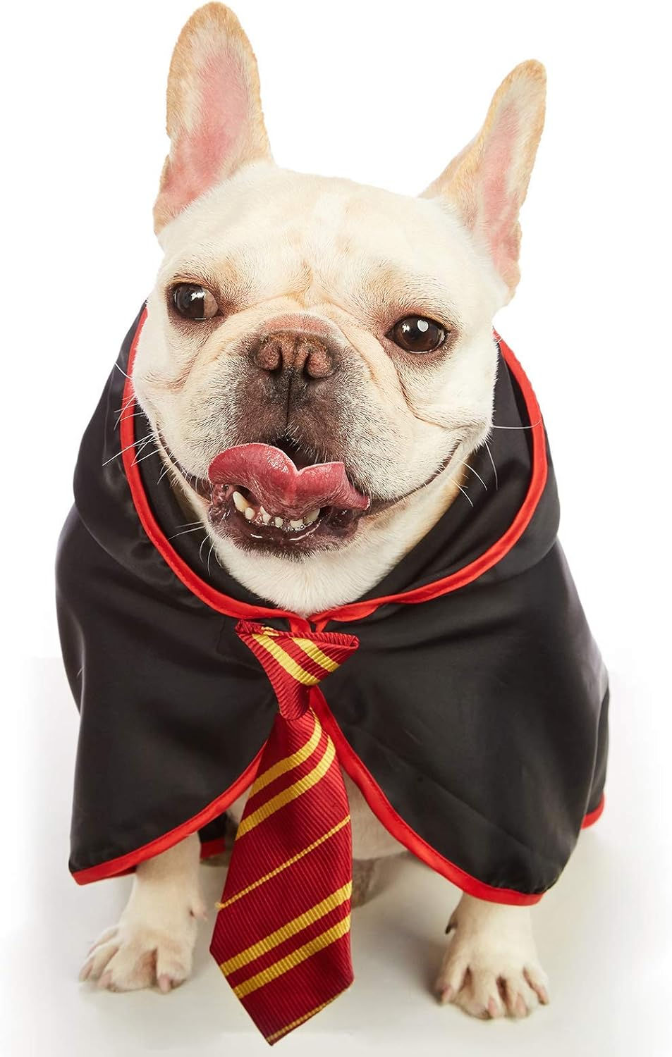 Thumbnail: MagicPaws Wizard Costume