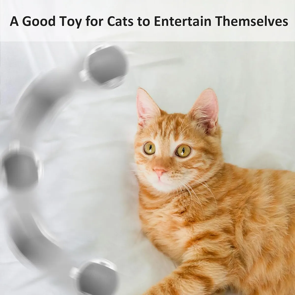 Thumbnail: OrbitRoll Smart Toy