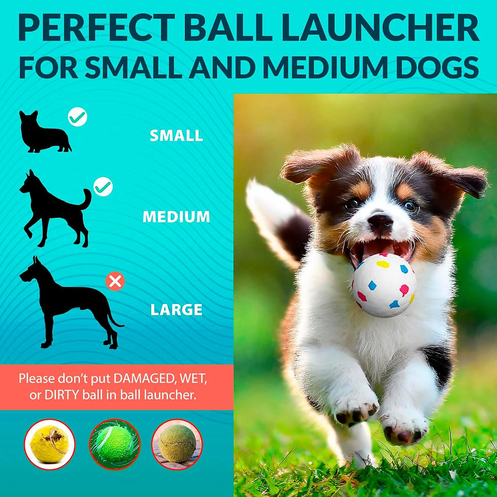 Thumbnail: AutoFetch Ball Launcher