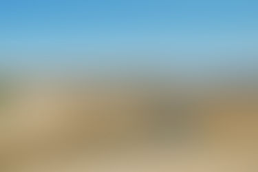 Install a litter bin at pedestrian exit the North Beach