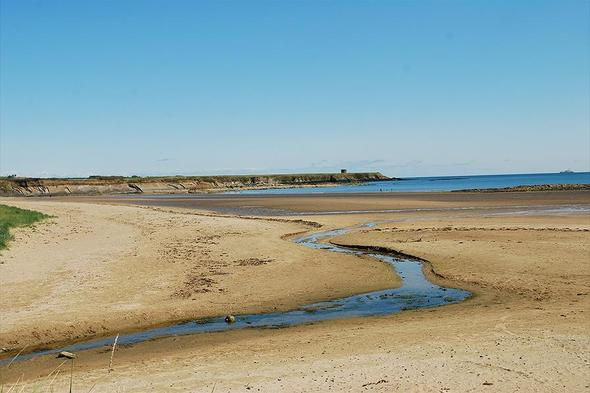Install a litter bin at pedestrian exit the North Beach