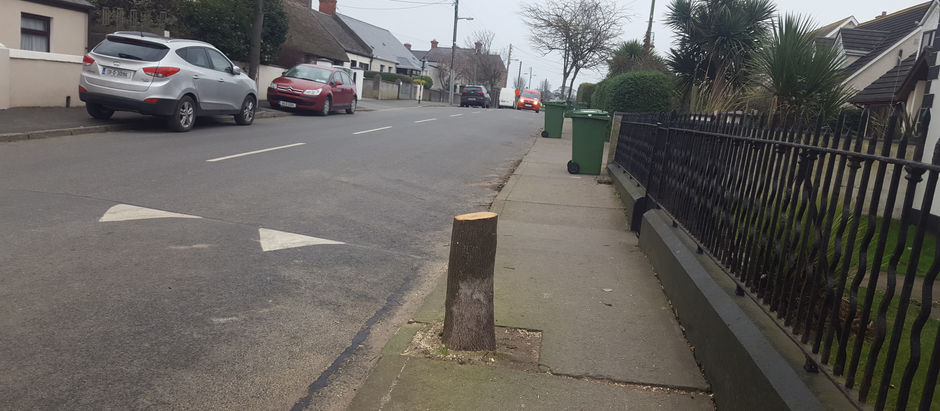 Tree Stump Channel Road, Rush