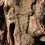 Miniatura: Colar Stone Ouro Citrino