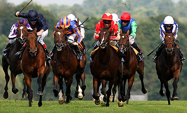 races.png.webp