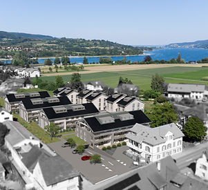 Bild_Bachwies_Hauptbild_sw_farbig.jpg