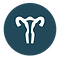 icons8-uterus-90 copy.png