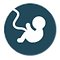 icons8-uterus-90 copy.png