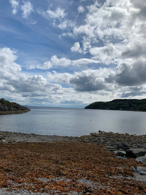 Inner Grove Inspiration. Nature.jpeg