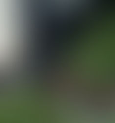 The City of Oakland is Making us Homeless Again