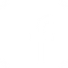 facebook (1)_edited_edited.png