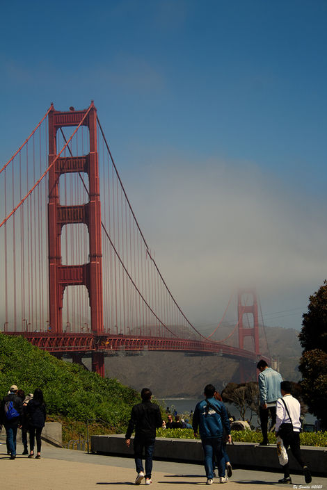 SAN FRANCISCO 2023 23.jpg