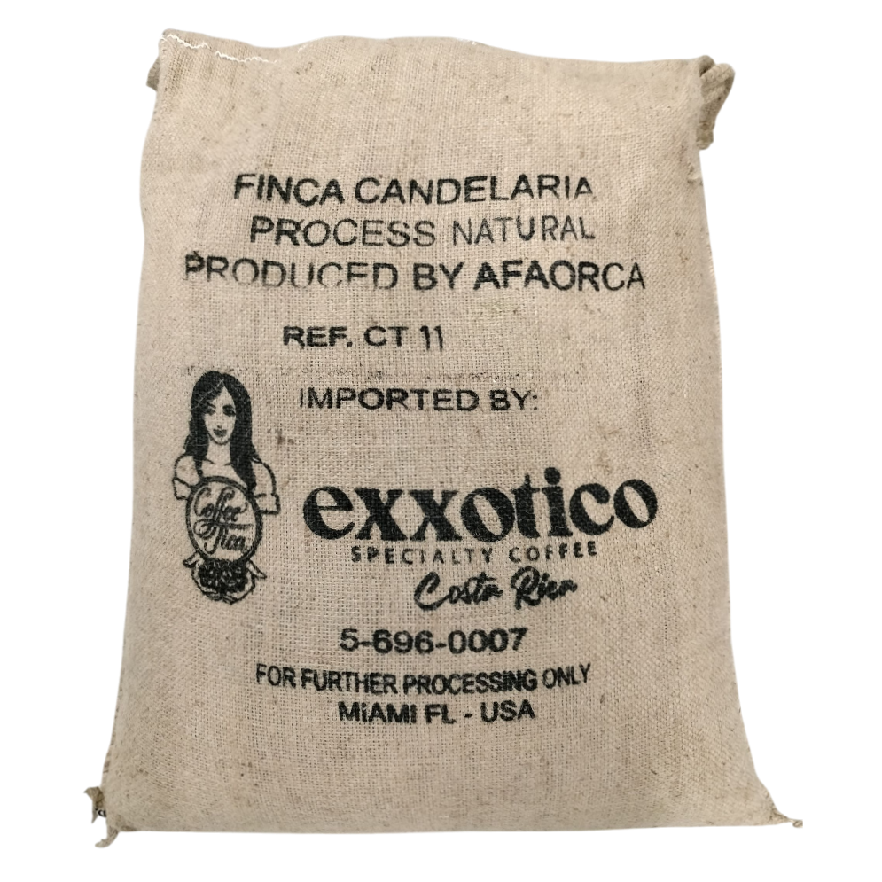 Green Beans - Finca Candelaria - Pacamara - Natural