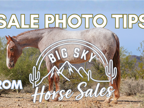 Sale Photo Tips