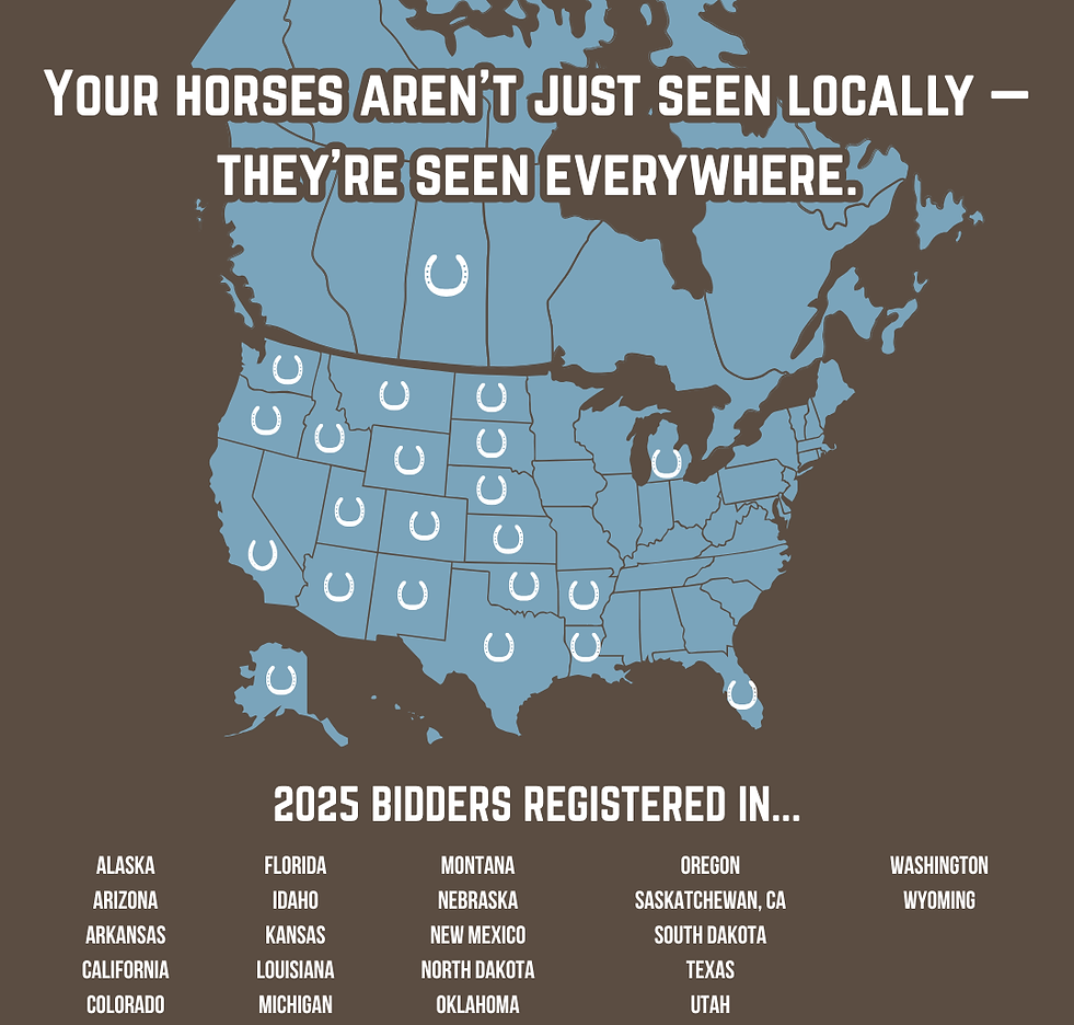 21 STATES.png