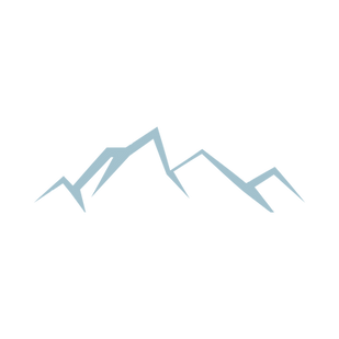 bshs icon.png