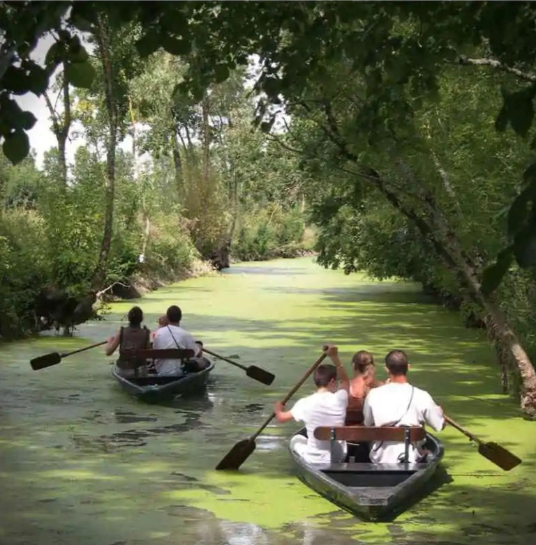 đŁParc naturel regional : le Marais de poitevin Ă MaillezaisđŁââïž