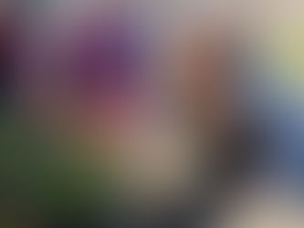 „Auf, die Heimat ruft, Magyaren ….“