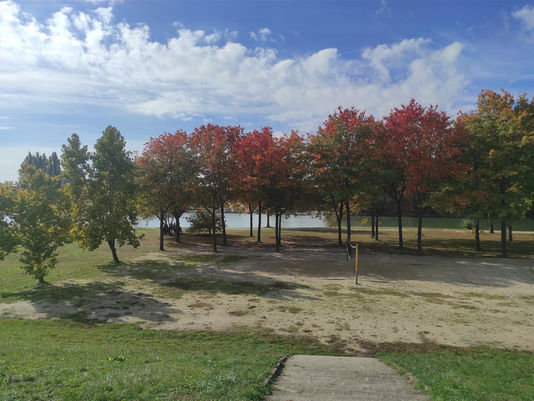 Tag in der Natur 2025