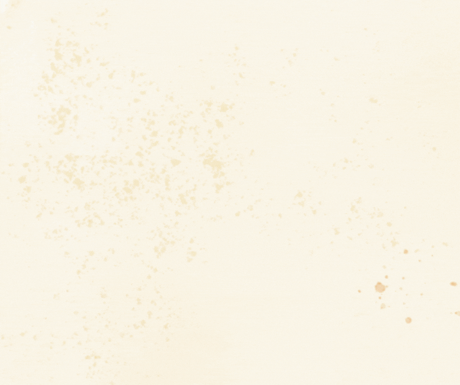 Névtelen terv(1).gif