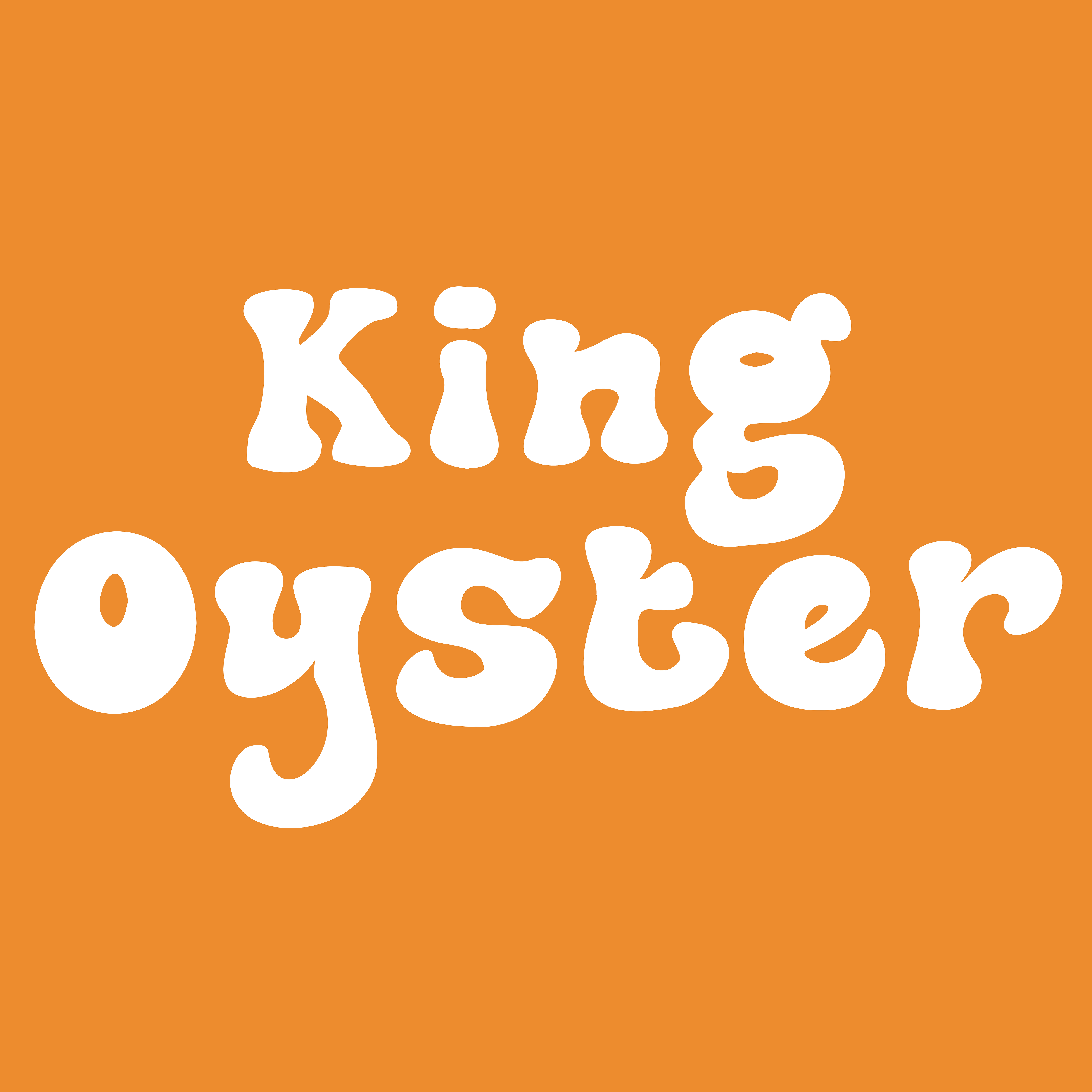 KO: 3 lb King Oyster Ready-to-Fruit Block