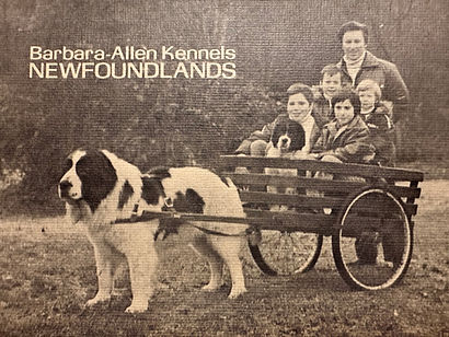 Fred pulling cart with Wolman children