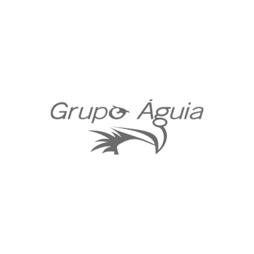 Grupo Águia