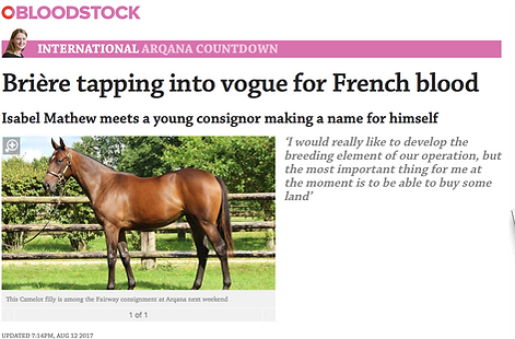 Charles_Brière_Fairway_Consigment_yearling_Pinhook_Mare_Racing_Post_French