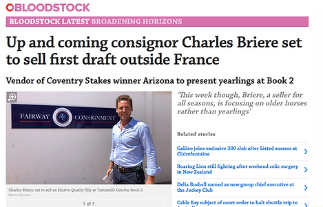 Charles_Brière_Fairway_Consigment_yearling_Pinhook_Mare_Racing_Post_Tattersalls