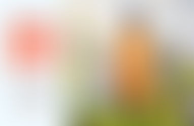 Spring Reset for Your Skin: 30% Off Peter Thomas Roth Favorites You Actually Need