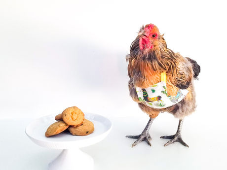 Cannabis-Infused (CBD and THC) Cookies