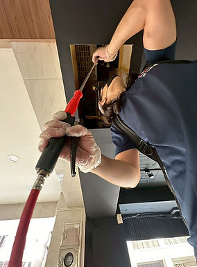 餐飲業病媒防治｜晟力專業除蟲公司｜防蟑螂、防鼠、防蠅專業方案