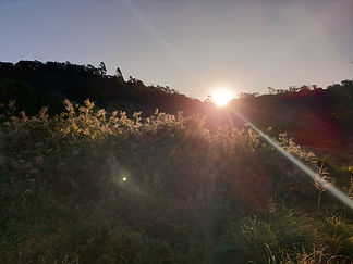 20230730_162558_edited.jpg