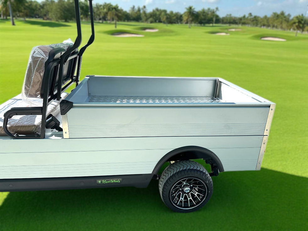 cargo of the golf cart