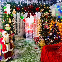 santas grotto 2021 18.jpeg