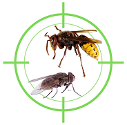 VS NUISIBLES spécialiste de la désinsectisation sur Narbonne
