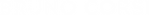 bruno corsi logo blanco.png