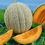 Thumbnail: Melons