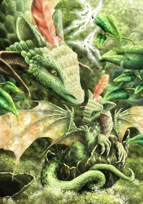Le mot irlandais « Imbolc » signifie « dans le ventre ». Dans le recueillement de l’Hiver, dans le ventre de la Terre, une puissante énergie amorce la sortie de la stase de la vie végétale.