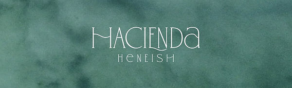 Hacienda Henish_SalesKit-V&TH-01.jpg