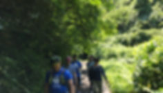 IMG_0791.jpeg