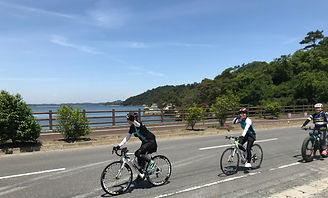 IMG_0113.jpeg