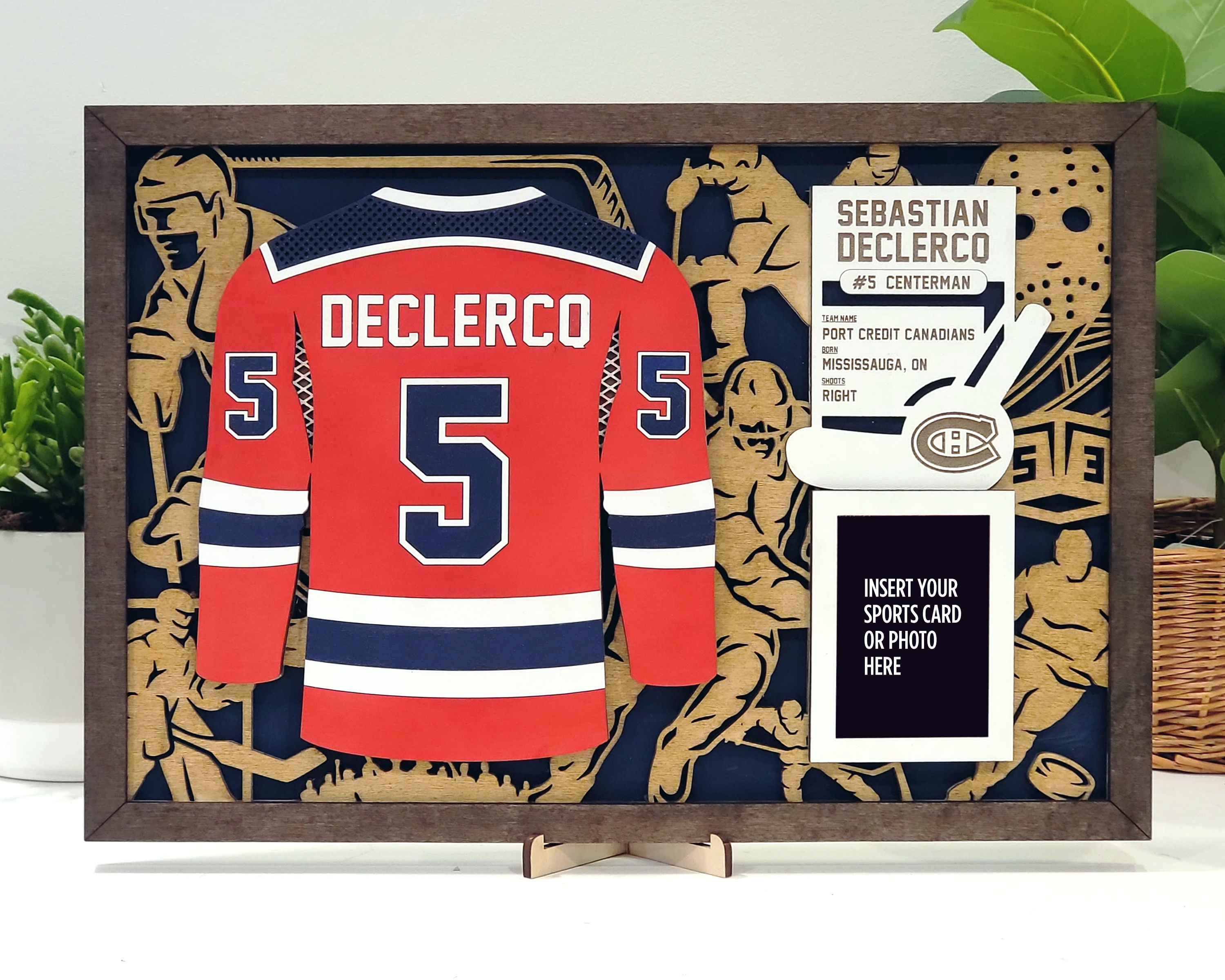 Stadium Series Hockey Jersey Plaques