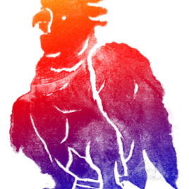 cockatoo-RYB.jpg